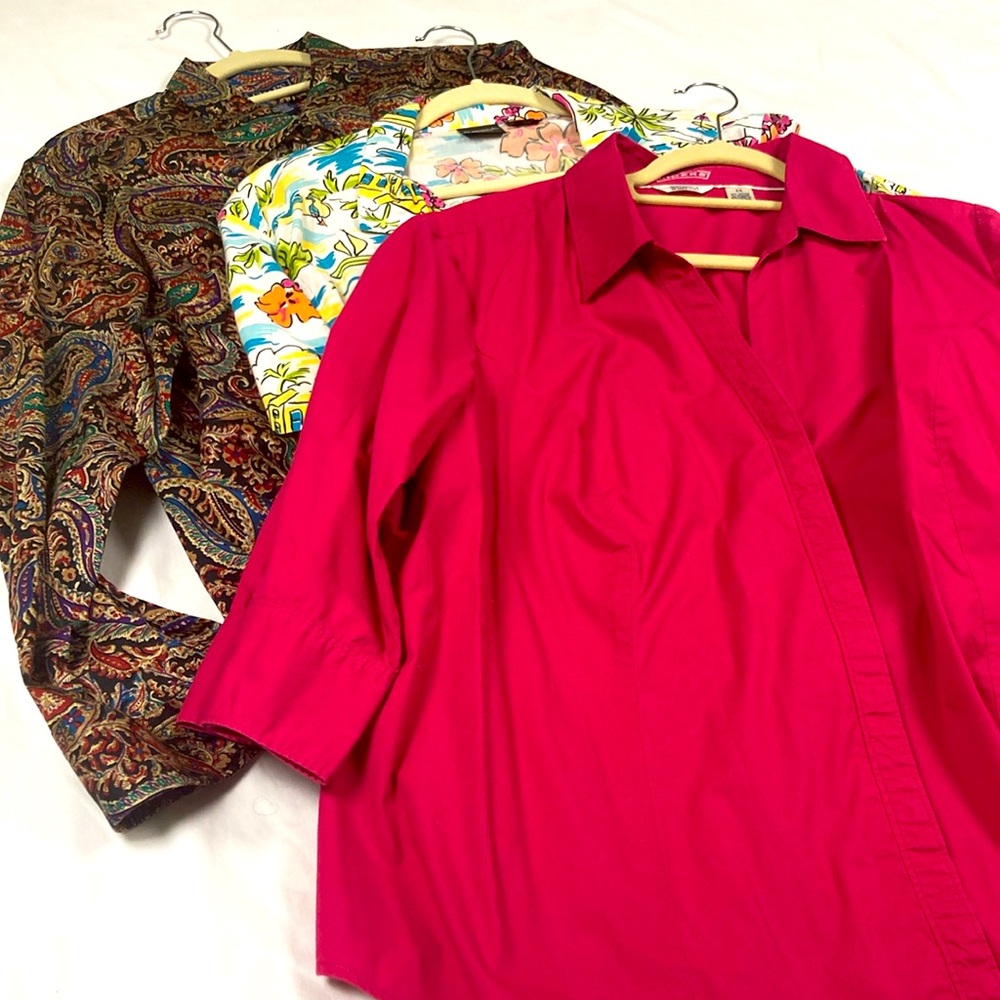 Various brands of plus size women’s button-down shirts, size 2X